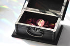 Black jewelry box with a silver handle containing red and gold wooden circle runes on a white background.