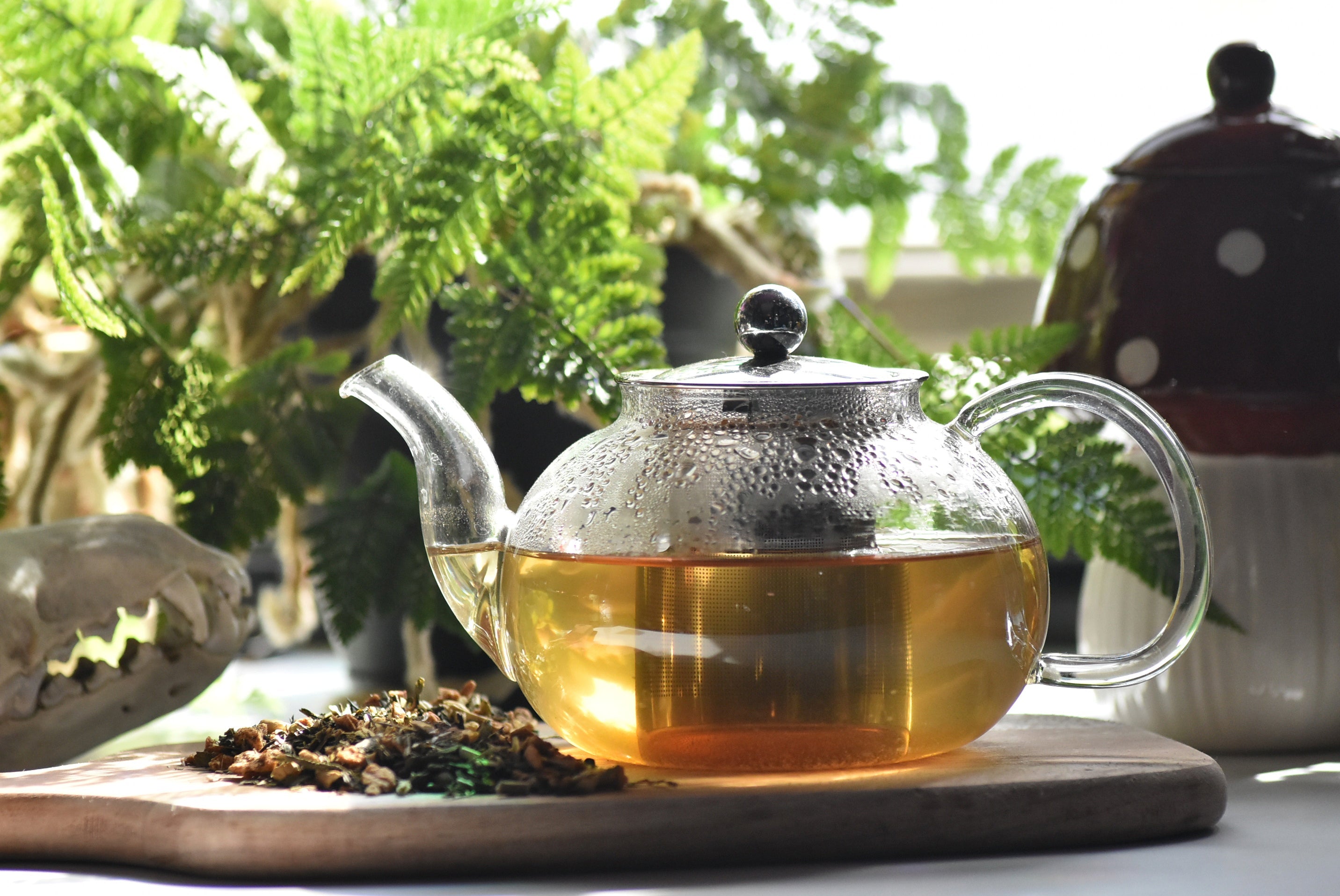 'Mosswood Sentinel' Tea Blend - Herbal Archetypes Collection