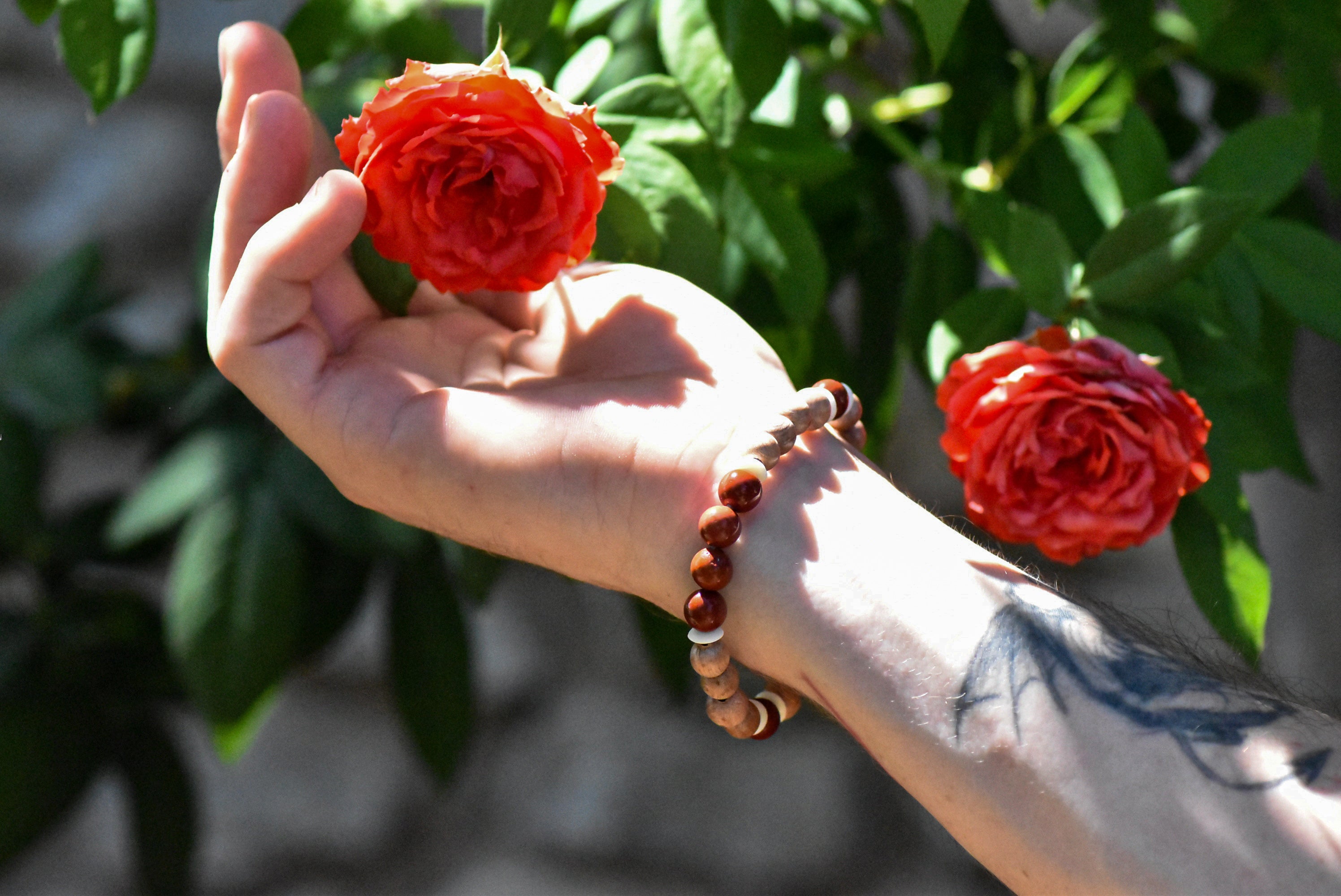 Freya - Red Mookaite, Rosewood, and Ox Bone Bracelet